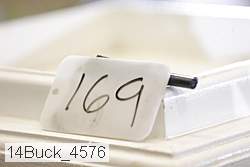14buck_4576 proof