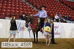 14buck_4585 proof