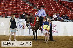 14buck_4586 proof