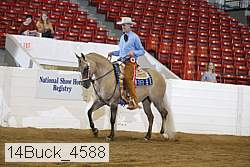 14buck_4588 proof