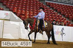 14buck_4591 proof