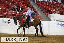 14buck_4593 proof
