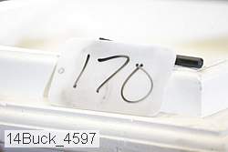 14buck_4597 proof