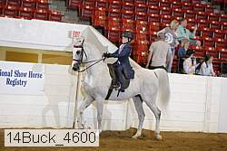 14buck_4600 proof