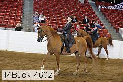 14buck_4602 proof