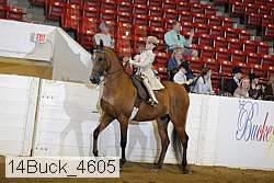 14buck_4605 proof