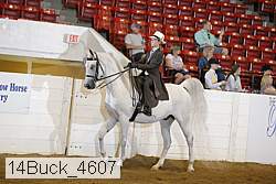 14buck_4607 proof