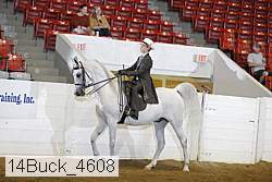 14buck_4608 proof