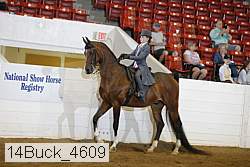 14buck_4609 proof