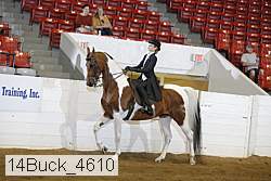 14buck_4610 proof