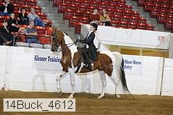14buck_4612 proof