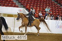 14buck_4615 proof