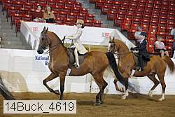 14buck_4619 proof