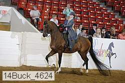 14buck_4624 proof