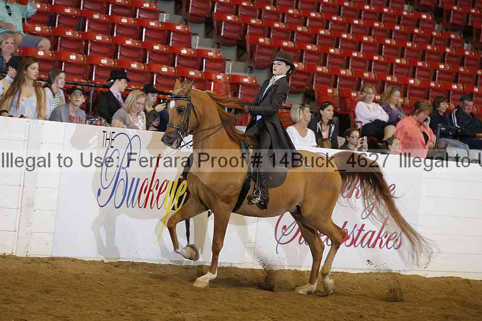 Proof 14buck_4627