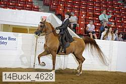 14buck_4628 proof