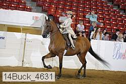 14buck_4631 proof