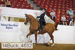 14buck_4632 proof