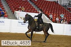 14buck_4635 proof