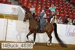 14buck_4636 proof