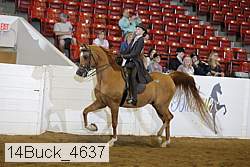 14buck_4637 proof