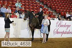 14buck_4638 proof