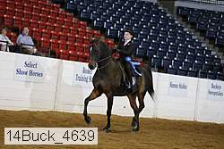 14buck_4639 proof