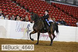 14buck_4640 proof