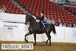 14buck_4641 proof