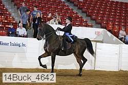 14buck_4642 proof