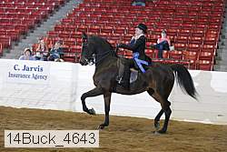 14buck_4643 proof
