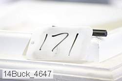 14buck_4647 proof