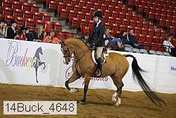 14buck_4648 proof