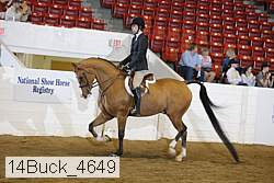 14buck_4649 proof