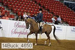 14buck_4650 proof