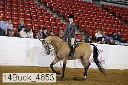 14buck_4653 proof
