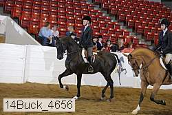 14buck_4656 proof