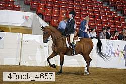 14buck_4657 proof