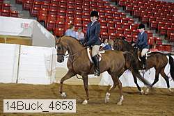 14buck_4658 proof