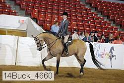 14buck_4660 proof