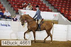 14buck_4661 proof