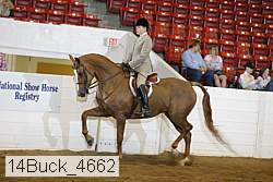 14buck_4662 proof