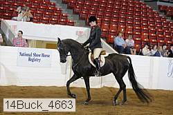 14buck_4663 proof