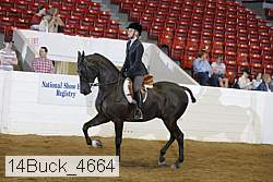 14buck_4664 proof