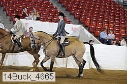 14buck_4665 proof