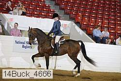 14buck_4666 proof