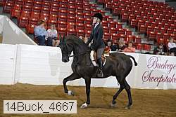 14buck_4667 proof