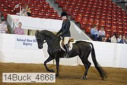 14buck_4668 proof