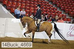 14buck_4669 proof