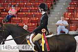 14buck_4672 proof